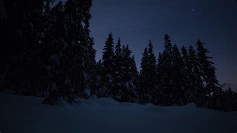 We did not find results for: Snowy Forest Night Stock Footage Video | Shutterstock