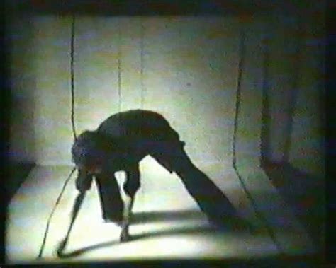 Geta bratescu was born in 1926, a remarkable figure of romanian conceptual art. Geta Bratescu, Camden Arts Centre