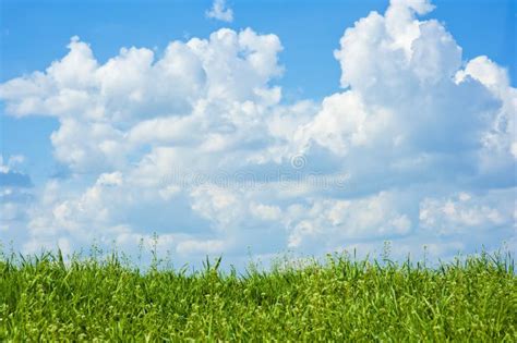Field Of Grass Sky With Clouds Stock Photo Image Of Cloud Blue