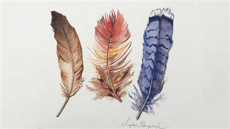 Natural Illustration Feathers In Watercolor Nevada Museum Of Art