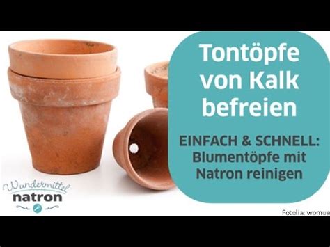 Danach säubern sie die fliesen gründlich, befreien sie von schmutz, kalk und vor allem von fett und wischen sie im anschluss mit einem tuch wieder trocken. Blumentopf reinigen - Tontöpfe mit Natron von Kalk ...