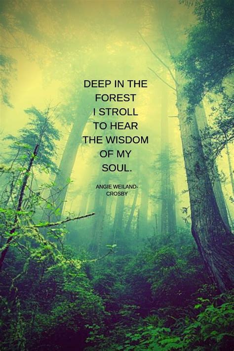 19 Soul Quotes To Love And Live By Nature Quotes Trees Nature Quotes