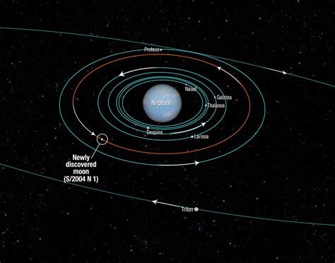 Maybe you would like to learn more about one of these? Orbit of Neptune's newly-discovered moon | ESA/Hubble