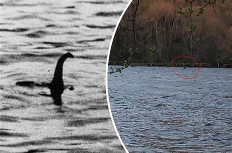 Loch Ness Monster Sighting Clearest Pic Yet Of Beast Baffles Experts