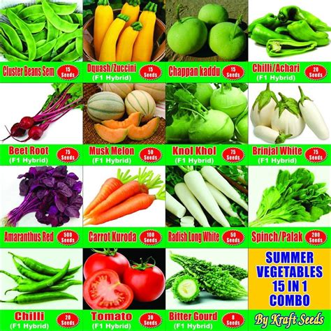Summer Vegetable Seeds Combo 15 In 1 Superb Quality By Kraft Seeds