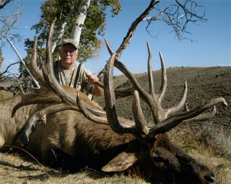 20 Biggest Elk Of All Time Petersens Hunting