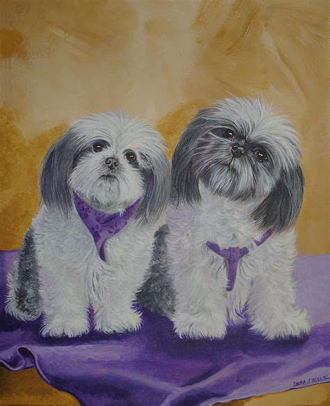 Shih Tzus Painting By Laura Bolle