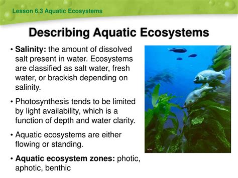Ppt Biomes And Aquatic Ecosystems Powerpoint Presentation Free