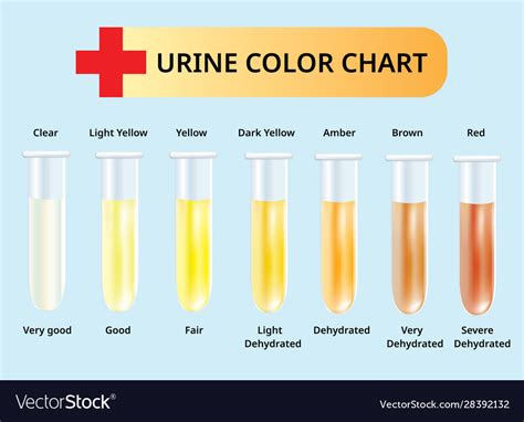 Urine Color Chart Whats Normal And When To See A Doctor Urinal Urine