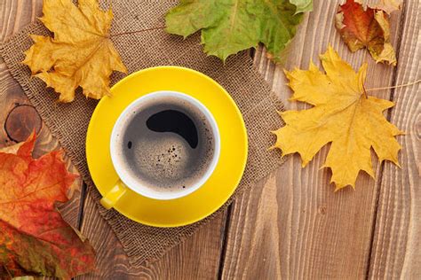 Fall Background With Leaves And Cup Of Coffee Gallery