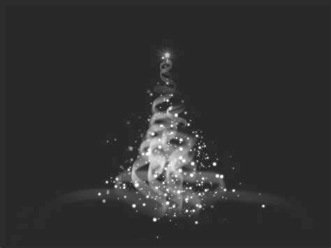 Sparkling Christmas Tree Free Photo Download Freeimages