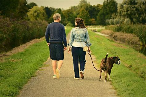 Dog Walking Week: Benefits of Walking Your Dog - Bullyade.com
