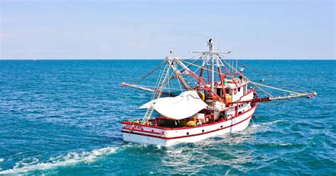 Pesca Mexicana Una Actividad Sostenible Vertiente Global