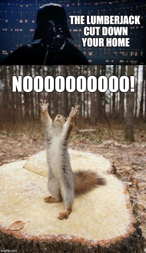 Squirrels Imgflip