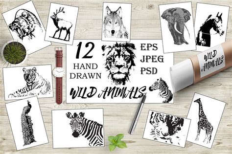 Hand Drawn Wild Animals Animal Illustrations ~ Creative Market