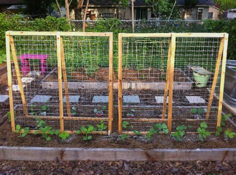 Maybe you would like to learn more about one of these? DIY trellises - 1x2 cedar frames, 4 feet tall. | Vegetable garden planning, Vegetable garden ...