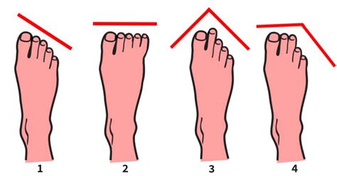 6 Types Of Toes And What They Tell About Your Personality