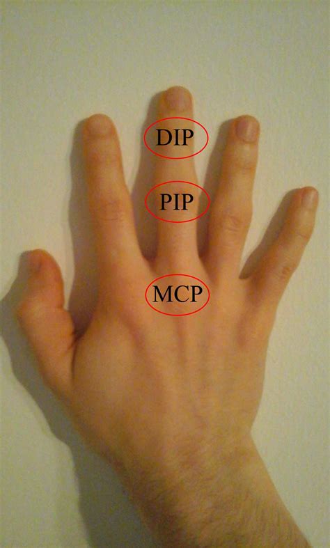 Our Three Finger Joints Dip D For Distal Remember It As Distant