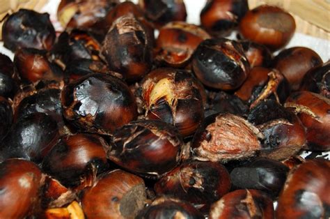 Le caldarroste o castagne al microonde sono velocissime, pronte in 5 minuti, ecco i segreti per · castagne al forno morbide, facili e buone, oggi vi indico come cuocere le castagne in modo. Caldarroste al sale grosso - Libero Ricercatore