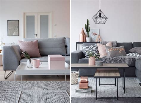 17 Blush And Grey Living Room Pictures Missapplesnow