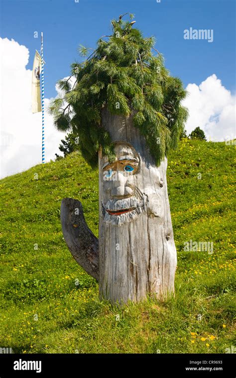 Faces Carved Into Tree Hi Res Stock Photography And Images Alamy
