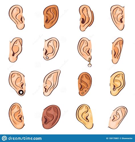 Ear Vector Human Eardrum Ear Rope Hearing Sounds Or Deafness And