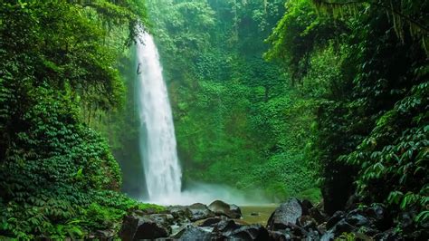 Relaxing Jungle Waterfall Soothing Nature Sounds 10 Hours White