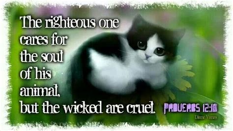 So True That The Righteous Treat Their Animals With Respect And When