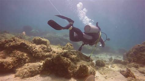 Scuba Padi Open Water Certification Dive Punta Cana Bavaro Beach Youtube