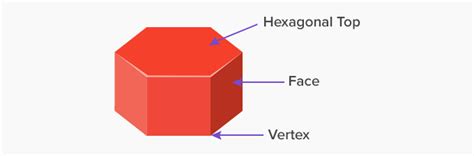 What Is Hexagonal Prism Definition Facts And Example