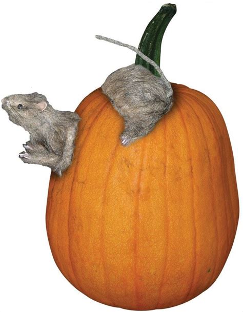 Rat Pumpkin Push In Pumpkin Fun Pumpkins Scary Halloween