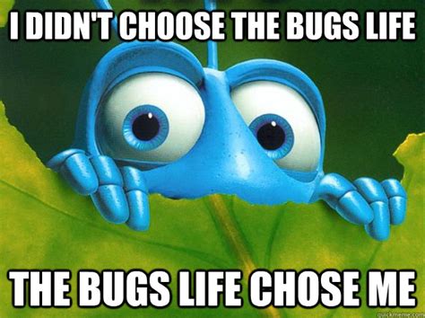 Bugs Life Memes Quickmeme