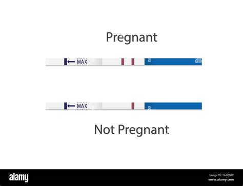 Pregnancy Test Strips Negative And Positive Option Set For Pregnant Women Vector Illustration