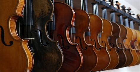 Orchestral Instruments Music Showcase
