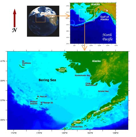 Ecofoci Bering Sea Ice Expedition 2006 Maps