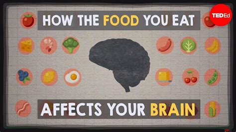 how the food we eat affects our brain learn about the mind diet open culture