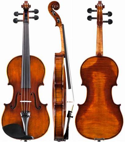 Viola Violin Violins Intermediate Outfit Violas Amati