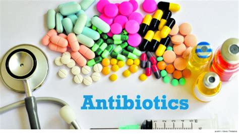 The Use Of Antibiotics Is Common Today Antibiotics Also Known As