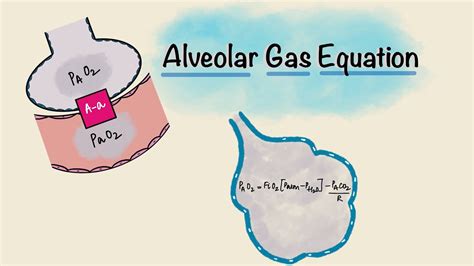 Alveolar Gas Equation Alveolar Arterial A A Gradient Respiratory