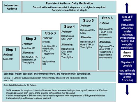 Stepwise Treatment Of Asthma In Children 511 Years Of Age Time Of Care