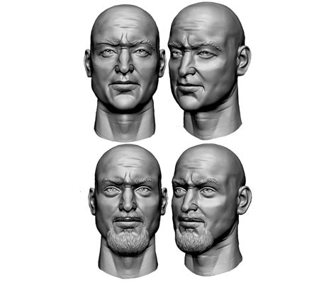 Male Heads Sculpts Anatomy Human Fantasy Scifi 3d Model