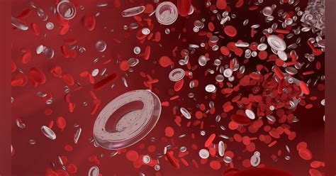 New Imaging Approach Creates A Clearer ‘picture Of Blood Vessels In