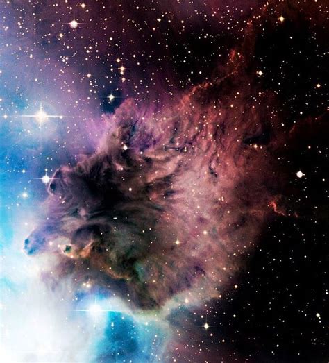 Fox Fur Nebula Nebula Space Photography Orion Nebula