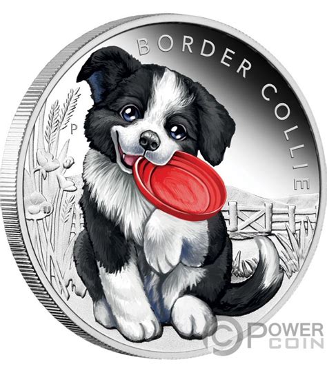 1 silver female & 1 silver male. BORDER COLLIE Dog Puppies Silver Coin 50 Cents Tuvalu 2018 - Power Coin