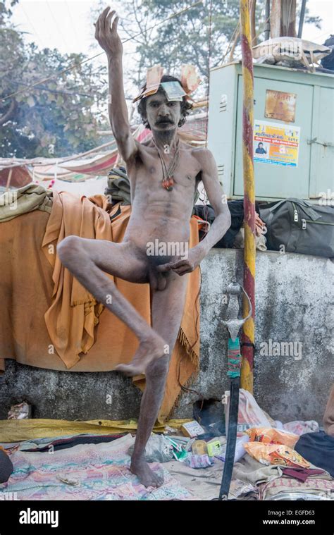 Naga Sadhu Meditating Shivratri Bhavnath Mela Stock Photo Alamy