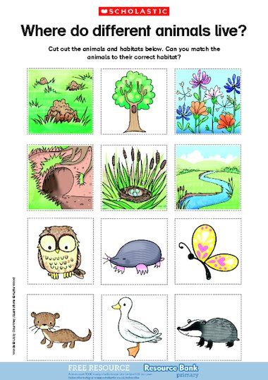 Where Do Different Animals Live Free Primary Ks1 Teaching Resource