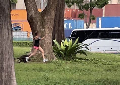 Jogger Screams For Help As Otters Chase After Her At West Coast Park Singapore News Asiaone