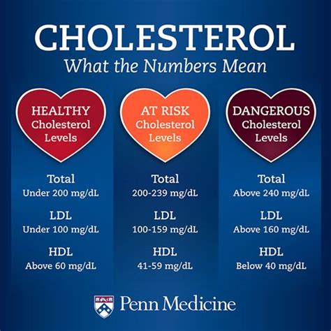 How To Lower Cholesterol What You Need To Know Artofit