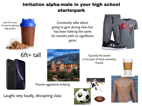Imitation Alpha Male In Your High School Starterpack Starterpacks
