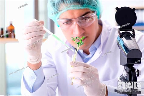 Biotechnology Concept With Scientist In Lab Stock Photo Picture And